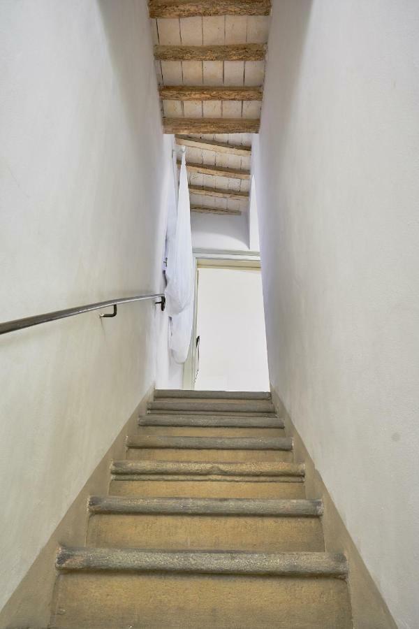 Casa Laurentius Πίζα Εξωτερικό φωτογραφία